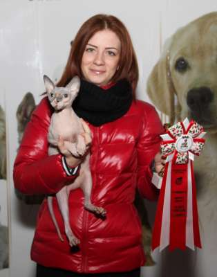 Выставка кошек 'Осенний Кэт-Салон' 30 ноября-1 декабря 2013., монопородные шоу 3638